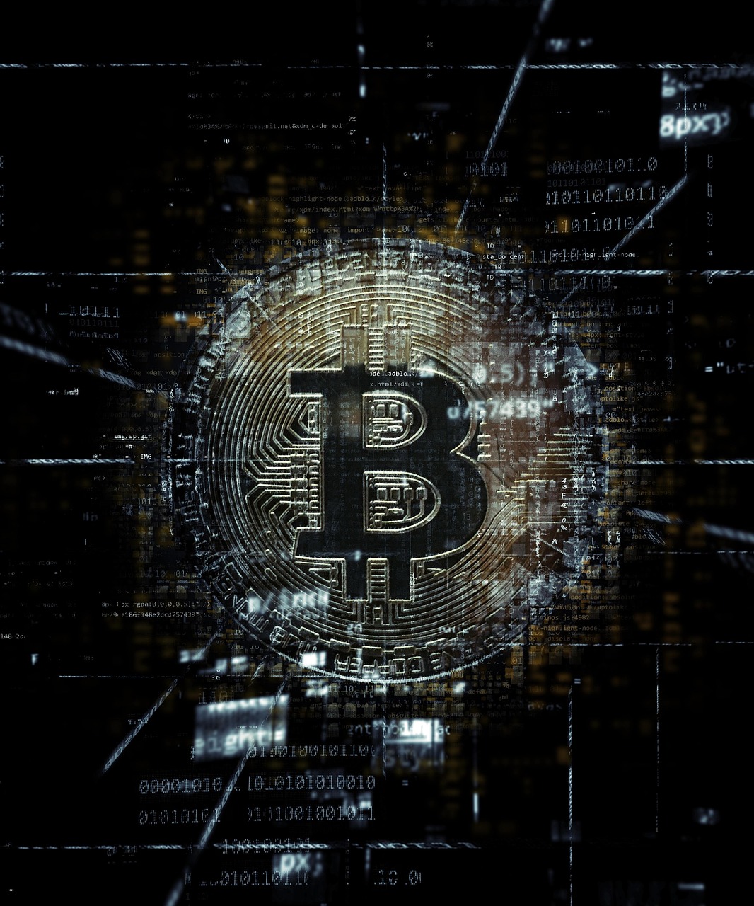 Личный Кабинет Tiger Broker для управления инвестициями и брокерским счетом